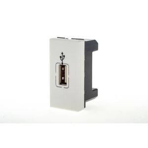 Módulo de Tomada para Dados de Rede Branco Pial Plus Legrand