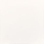 Porcelanato-61x61cm-Tipo-A-Esmaltado-Retificado-Polar-HD-Elizabeth