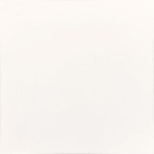 Porcelanato 61x61cm Polar Acetinado Tipo A Elizabeth