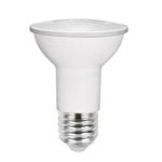 Lampada-Led-Par20-55W-6500K---Stella