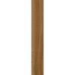 Porce-26X160-Olmo-No-Nat-Ceusa-Soft-Cx-166M2