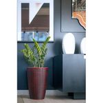 Vaso-Treccia-Conico-Rubi-Nutriplan