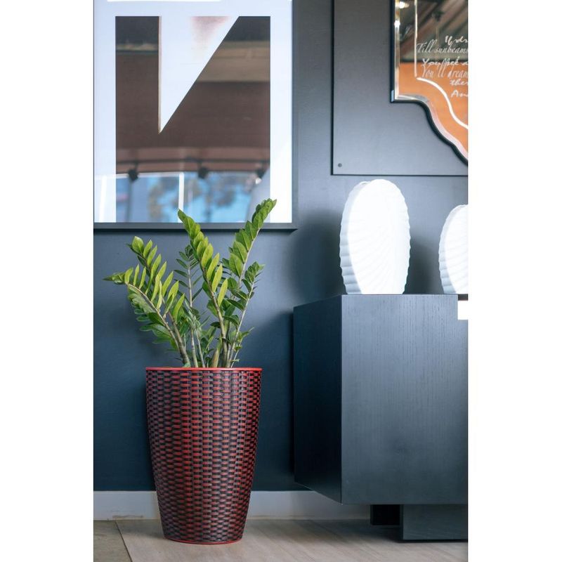 Vaso-Treccia-Conico-Rubi-Nutriplan
