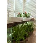 Revestimento-de-Parede-Borda-Retificada-10X115cm-Modelo-Carb-Delux-Nude-Tipo-A-Decortiles