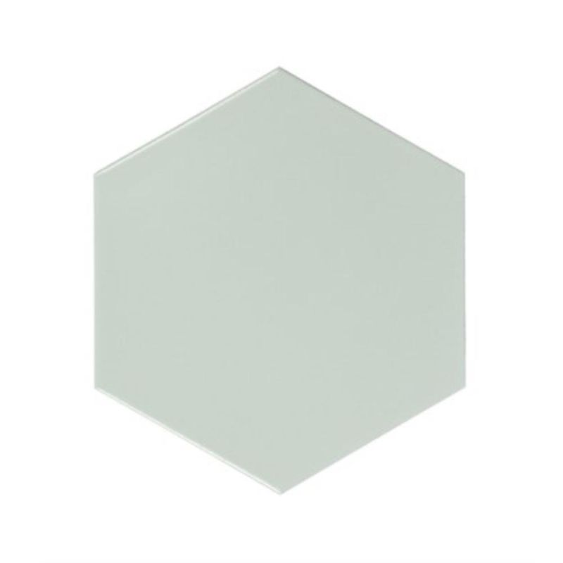 PAST-HEXAGONAL-OM-15640-LIQUEN-ATLAS-CX-106M2-LA-M20001M2