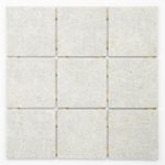 PAST-10X10-OMD-14878-NEREU-ATLAS-CX-140M2-LA-M20001M2