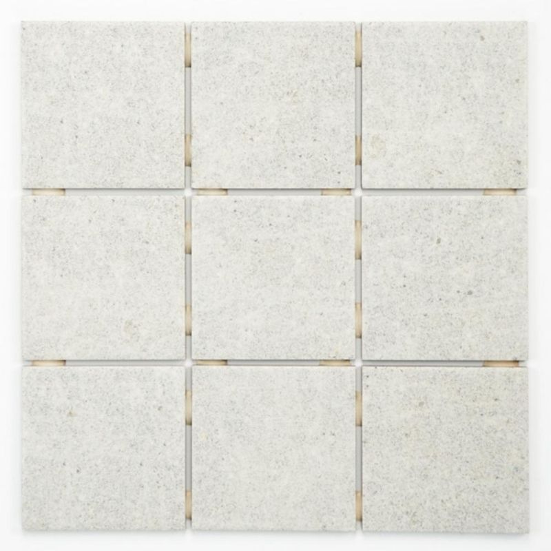 PAST-10X10-OMD-14878-NEREU-ATLAS-CX-140M2-LA-M20001M2
