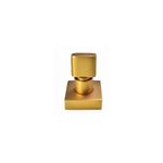 Acabamento-para-Registro-1-2-3-4-1-DF33-Dom-Dourado-Fosco-Perflex
