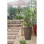 Vaso-Treccia-Tonico-30cm-Envelhecido-Nutriplan