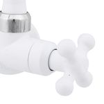 Torneira-para-Parede-de-Cozinha-Bica-Alta-Branco-Maruja-Viqua