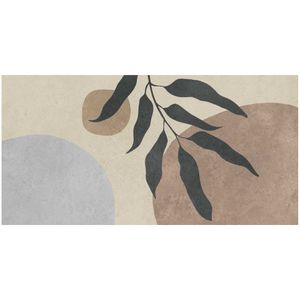 Revestimento 45x90cm Retificado Botanic Tipo A Biancogres