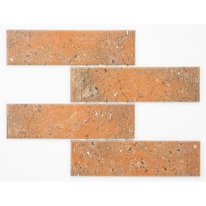 Pastilha 7x26cm OMD-14984 Massa Atlas