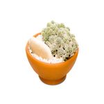 mini-terrario-com-vaso-de-barro-cultive.