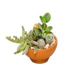 mini-terrario-com-vaso-de-barro-cultive