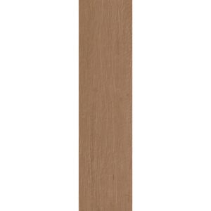 Porcelanato 26X106cm Legno Maso Externo Tipo A Biancogres