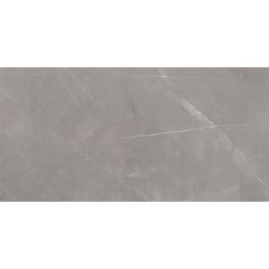 Porcelanato 60x120cm Pulpis Gray Polido Tipo A Eliane