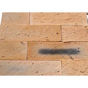 Tijolinho 23x7cm Canavieras Natural Stoneplus