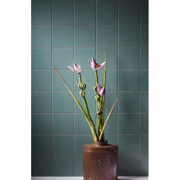 rev-20x20-granel-om-15641-dill-800112--1-