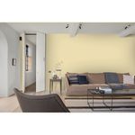 Tinta-Coralar-Acrilica-Marfim-36L-Coral