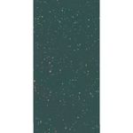 Porcelanato-60x120cm-Silex-Veggie-Polido-Tipo-A-Eliane