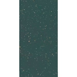 Porcelanato 60x120cm Silex Veggie Polido Tipo A Eliane