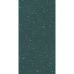 Porcelanato-60x120cm-Silex-Veggie-Polido-Tipo-A-Eliane