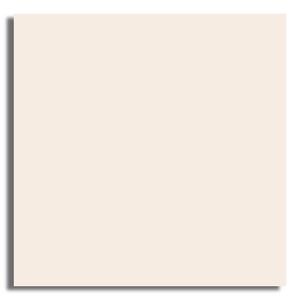 Cerâmica 56x56cm Luminatto Beige Polido Tipo A Cerbras