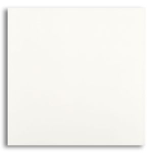 Cerâmica 60x60cm Tipo A Infinita Branco Brilhante Pointer