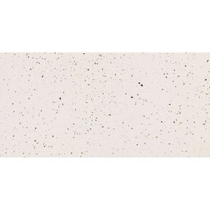 Porcelanato 60x120cm Silex Branco Polido Tipo A Eliane