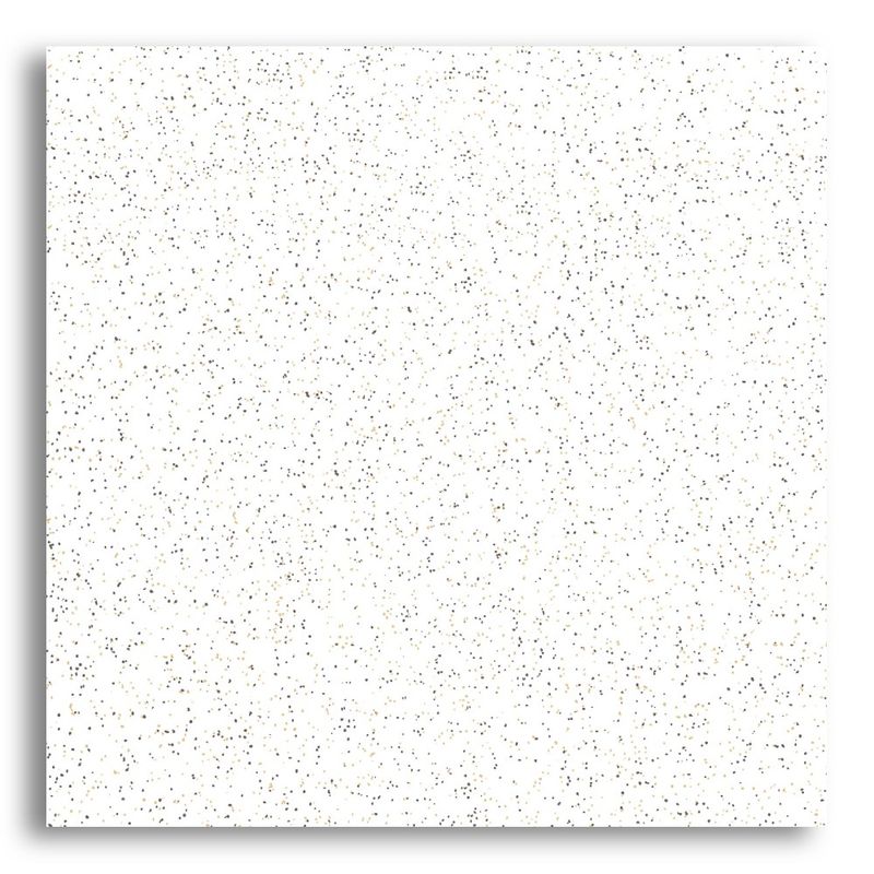Ceramica-46x46cm-Icapui-Branco-Tipo-A-Cerbras