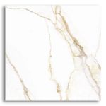 Ceramica-54x54-Florense-HD-Arielle