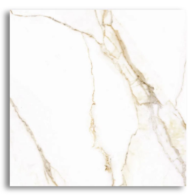 Ceramica-54x54-Florense-HD-Arielle