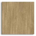 Ceramica-54x54cm-Alliance-HD-Arielle