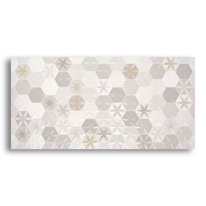 Ceramica-30x60cm-Sacra-Grigio-Brilhante-Pointer