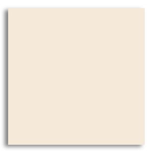 Porcelanato 60x60cm Bianco Plus Natural Tipo A Eliane