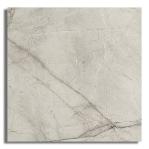 Porcelanato 120x240cm Retificado Tesoro SIlver Root Polido  Portinari