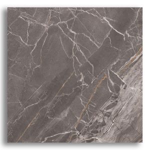 Porcelanato 100x100cm Lumina DGR Acetinado Tipo A Portinari
