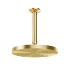 Chuveiro-de-Teto-Docol-Eden-R200-Ouro-Escovado-Docol