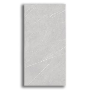 Porcelanato 60x120cm Retificado Pulpis Gray Matte Tipo A Roca