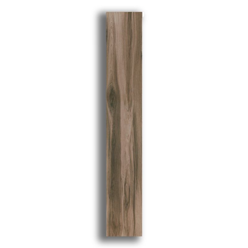 Porcelanato-20x120cm-Retificado-Arbol-Canela-Ace-Tipo-A-Incepa
