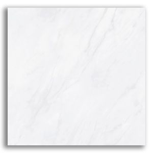 Porcelanato 120x120cm Frozen Satin Acetinado Tipo A Biancogres