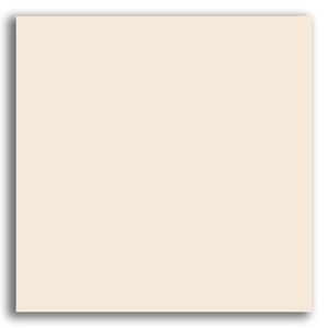 Porcelanato 60x60cm Retificado Bianco Plus Polido Tipo A Eliane