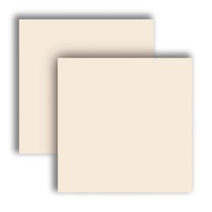 Porcelanato 60x60cm Retificado Bianco Plus Natural Tipo A Eliane