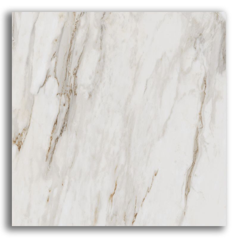Porcelanato-90x90cm-Retificado-Calacata-Gold-Polido-Tipo-A-Roca