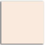Ceramica-62x62cm-Retificado-Itaunas-Bege-Acetinado-Tipo-A-Elizabeth