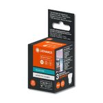 Lampada-Par11-3w-G4-4000K-Neutra-Osram--1-