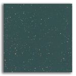Porcelanato-90x90cm-Retificado-Silex-Veggie-Polido-Tipo-A-Eliane