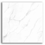 Porcelanato-70x70-Retificado-Tipo-C-Olimpo-Polido-Cerbras--2-