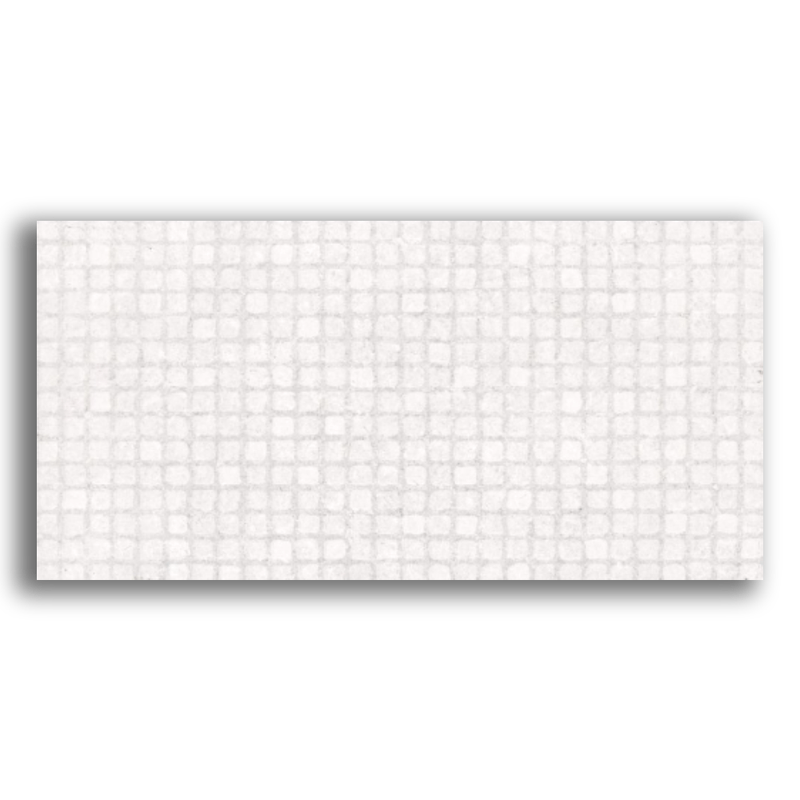Revestimento 30x60cm Retificado Orto Matte Tipo A Pointer.png