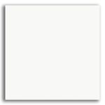 Porcelanato-58x58cm-Branco-Acetinado-Tipo-C-Tecnogres.jpg